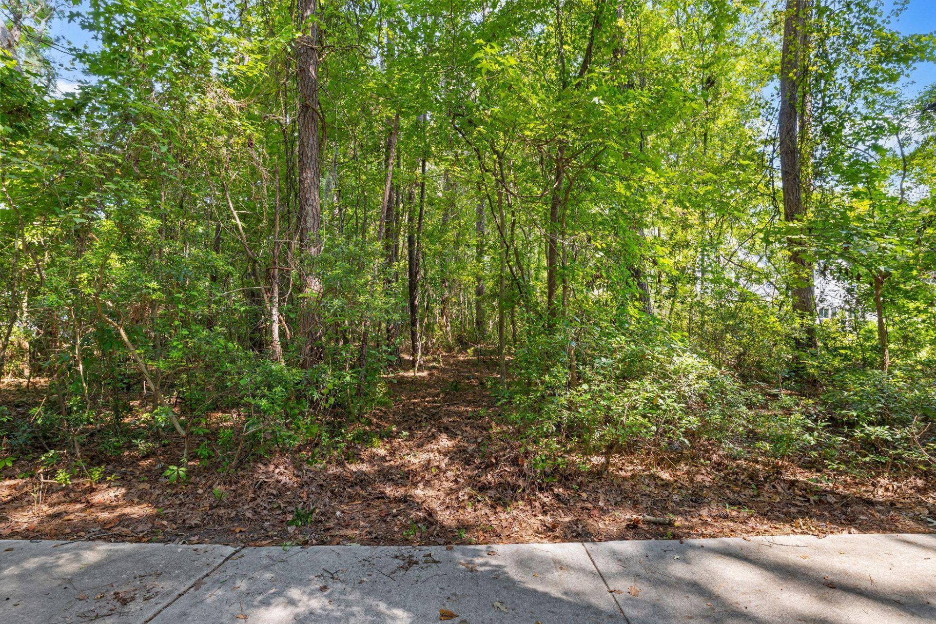 923 Long Point Road Photo 6