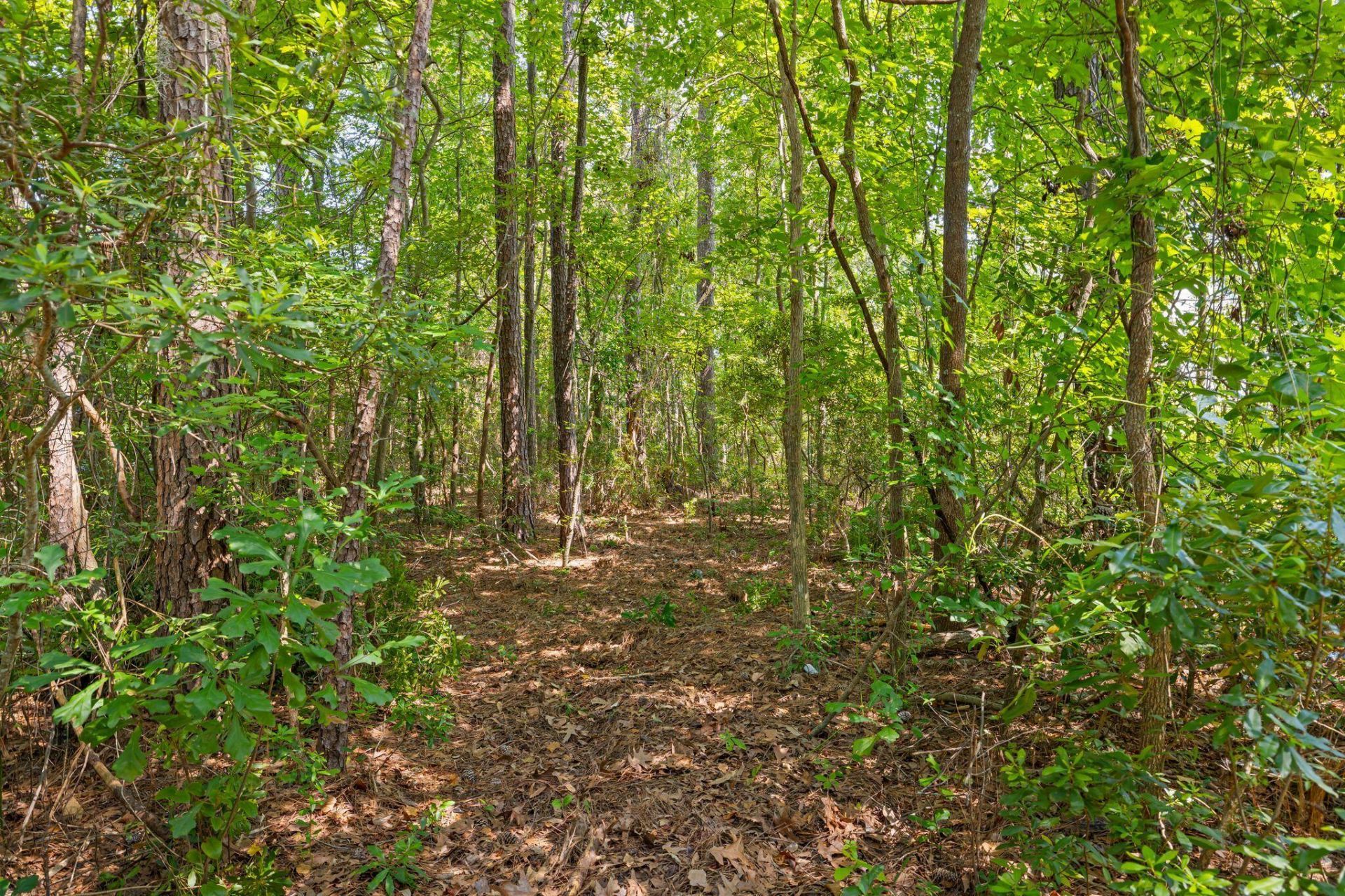 923 Long Point Road Photo 7
