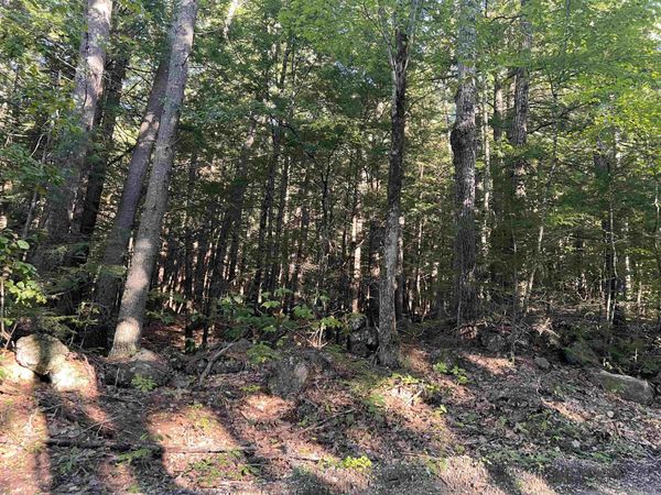 000 Bog Road, Hillsborough, NH 03244