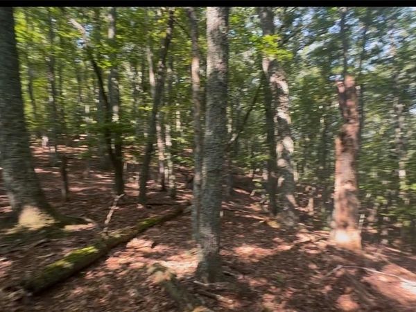 0 Brooks Ridge Road, Mineral Bluff, GA 30559