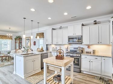 1237 Brown Velvet Lane, Apex, NC 27523