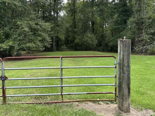25899 Satsuma Rd, Livingston, LA 70754