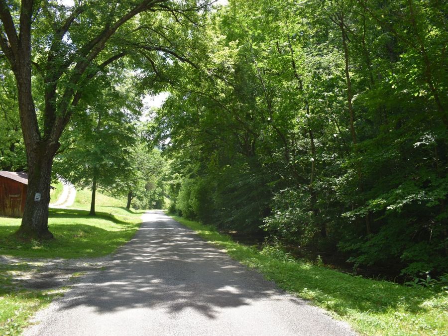 Property Image 11