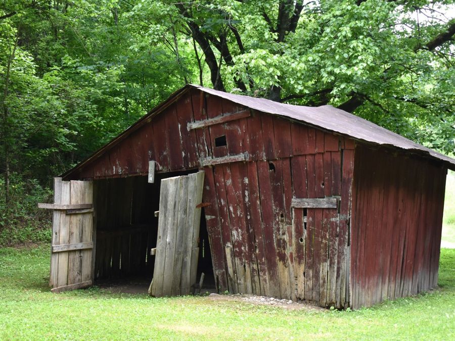 Property Image 7