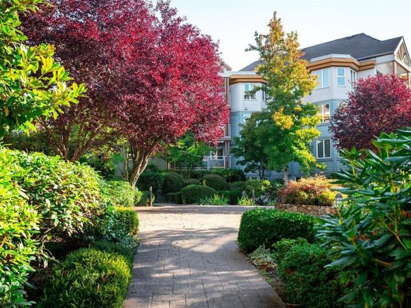 494 Marsett Pl, Unit #211, Saanich, BC V8Z 7J1