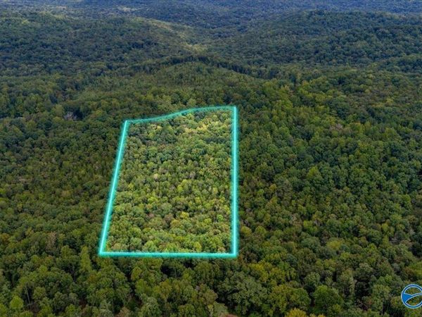 15 acres Fish Trap Road, Grant, AL 35747