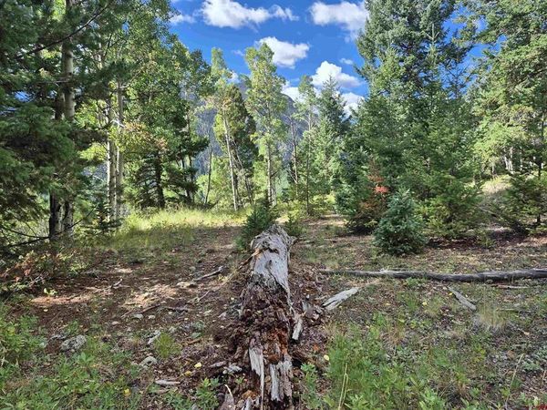 Blk 89 Lots 4-6, Jasper, CO 81144