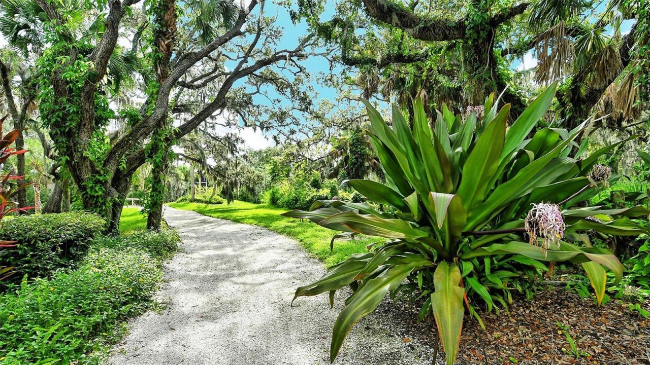 3262 Cross Creek Drive, Unit 3262, Sarasota, FL 34231 Photo