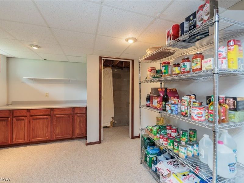 10305 Dayflower Drive, Twinsburg, OH 44087 Photo 39