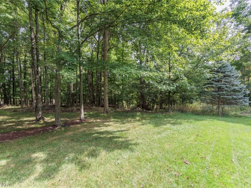 10305 Dayflower Drive, Twinsburg, OH 44087 Photo 40