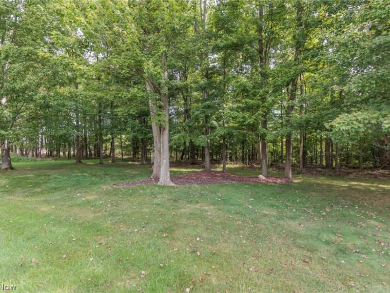 10305 Dayflower Drive, Twinsburg, OH 44087 Photo 41