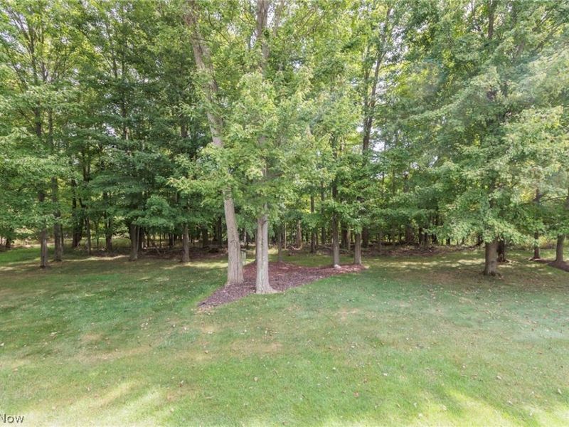 10305 Dayflower Drive, Twinsburg, OH 44087 Photo 42