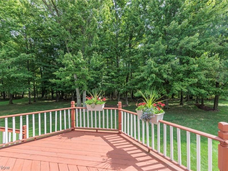 10305 Dayflower Drive, Twinsburg, OH 44087 Photo 43