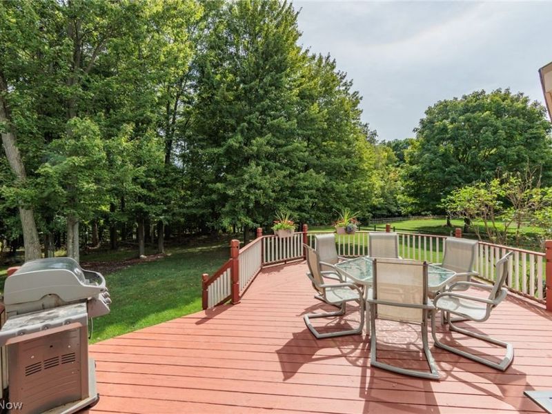 10305 Dayflower Drive, Twinsburg, OH 44087 Photo 45