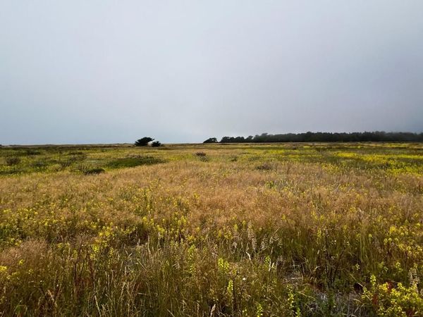 0 BEACH Avenue, Half Moon Bay, CA 94019