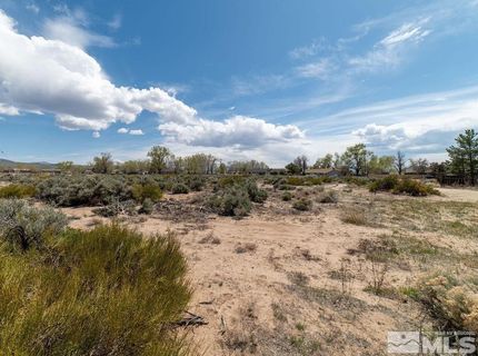 1354 Stephanie Way, Minden, NV 89423 Photo