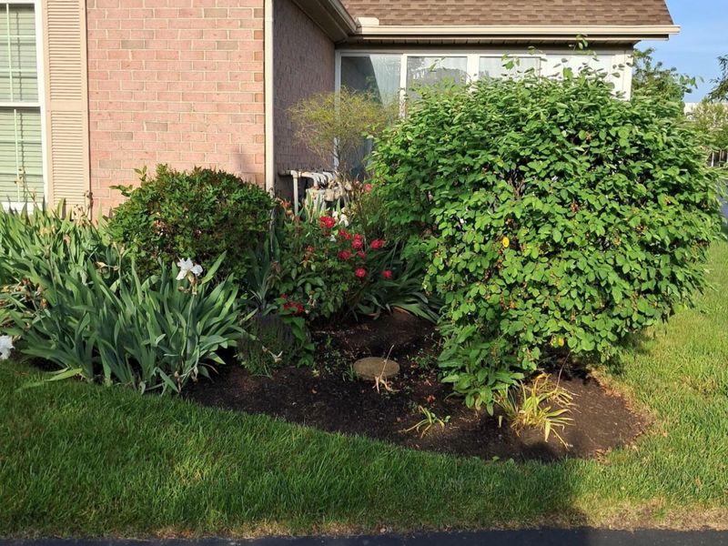 2018 Farmbrook Circle N, Grove City, OH 43123 Photo 8