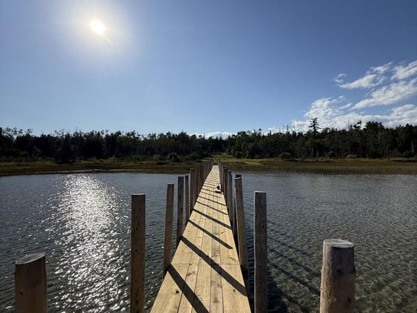 1979 S Point Brulee, Hessel, MI 49745