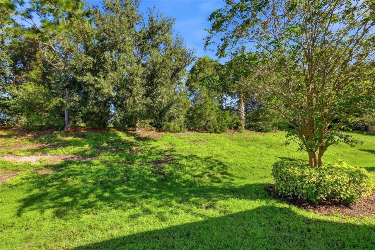 11705 Meadowgate Place, Bradenton, FL 34211 Photo
