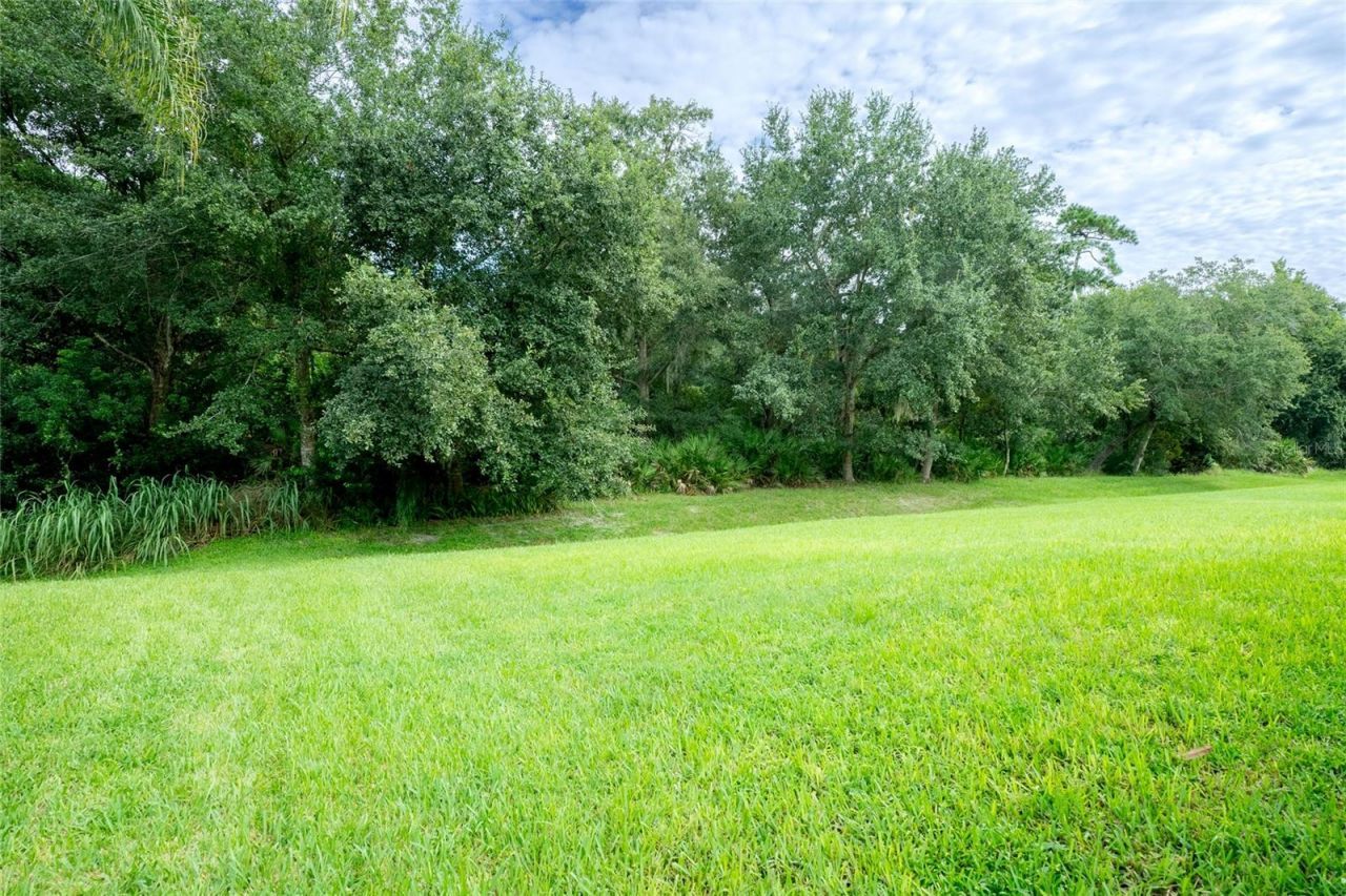 467 Osprey Lakes Circle, Chuluota, FL 32766 Photo
