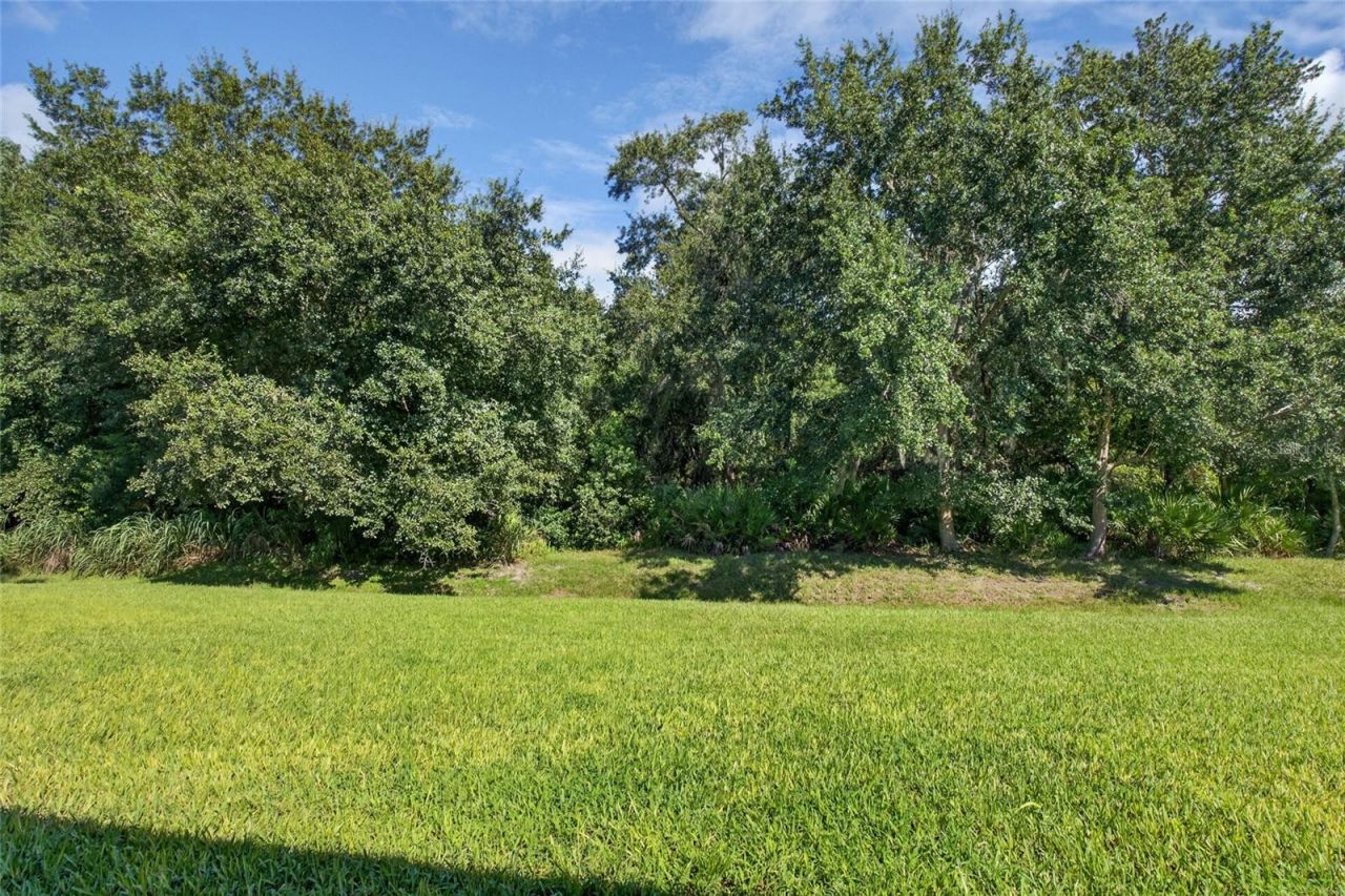 467 Osprey Lakes Circle, Chuluota, FL 32766 Photo