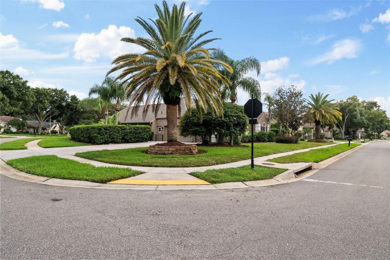 3626 Justin Drive, Palm Harbor, FL 34685 Photo