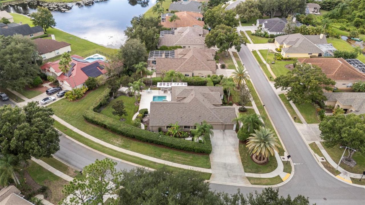 3626 Justin Drive, Palm Harbor, FL 34685 Photo