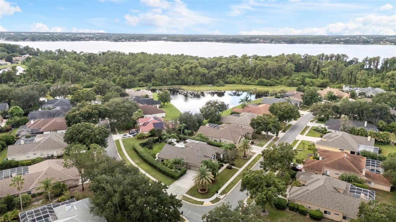 3626 Justin Drive, Palm Harbor, FL 34685 Photo