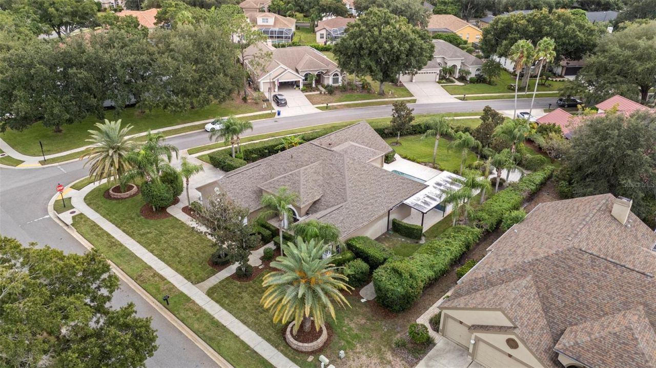 3626 Justin Drive, Palm Harbor, FL 34685 Photo