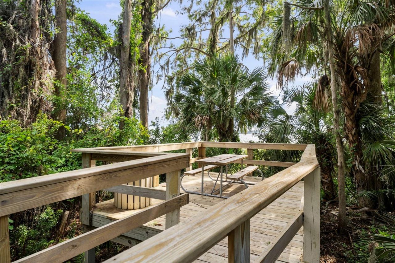 3626 Justin Drive, Palm Harbor, FL 34685 Photo