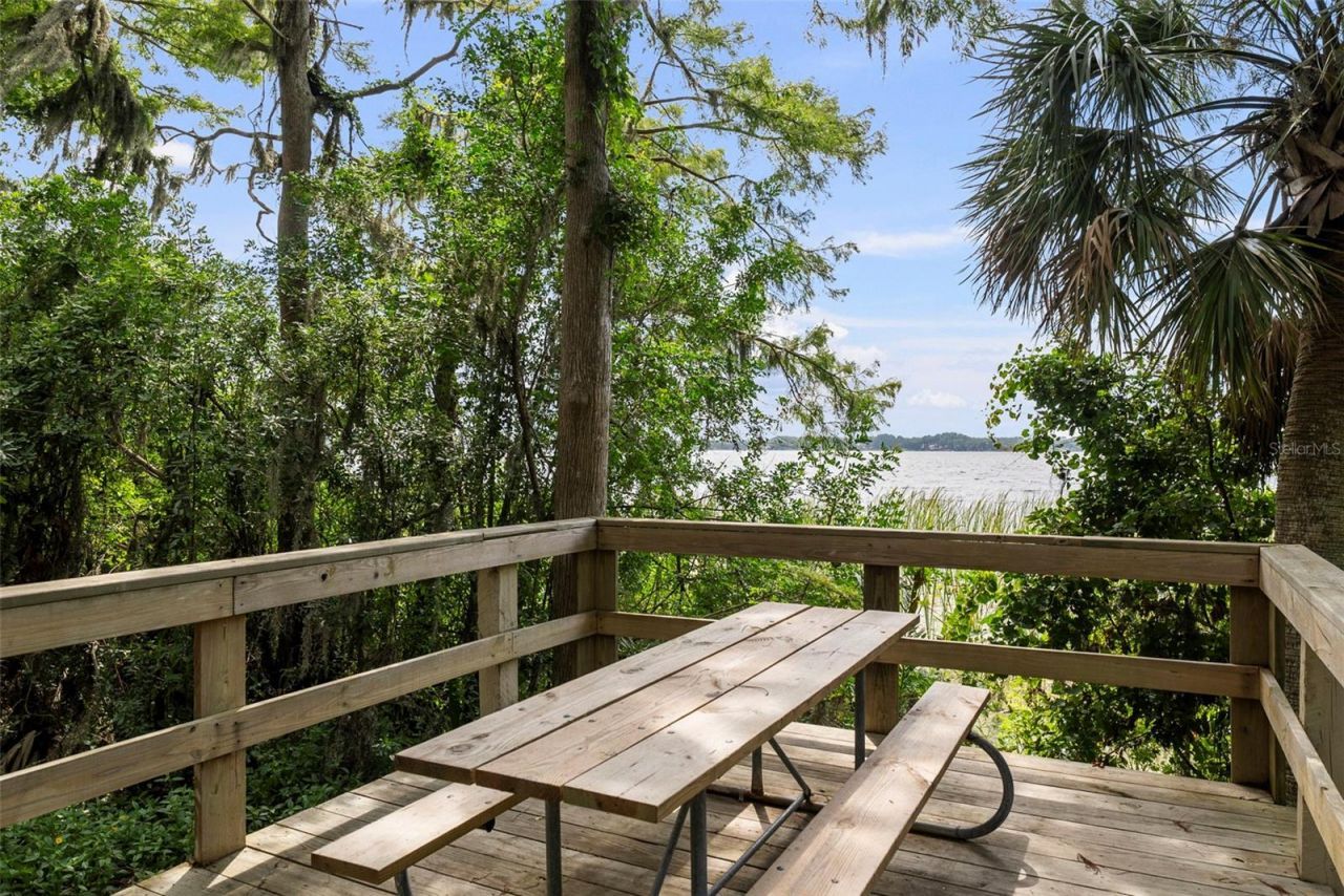 3626 Justin Drive, Palm Harbor, FL 34685 Photo
