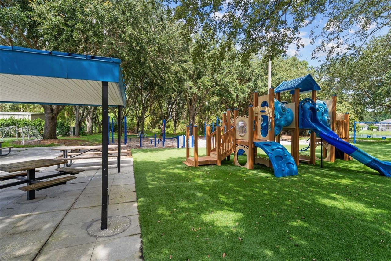 3626 Justin Drive, Palm Harbor, FL 34685 Photo