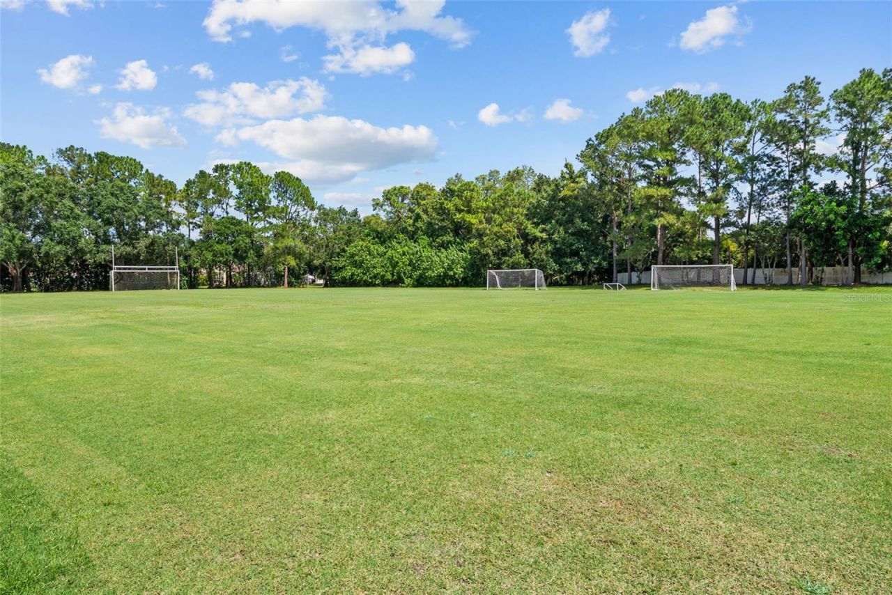 3626 Justin Drive, Palm Harbor, FL 34685 Photo