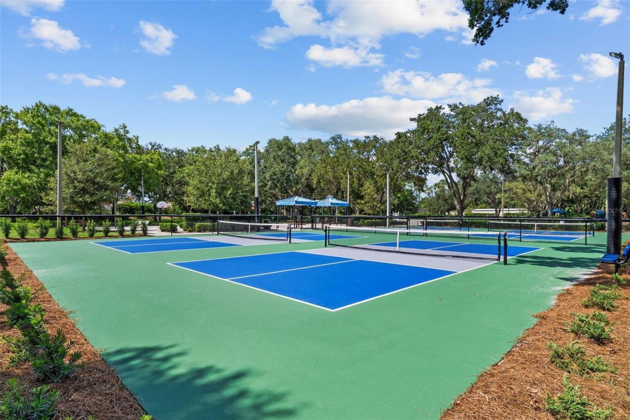 3626 Justin Drive, Palm Harbor, FL 34685 Photo