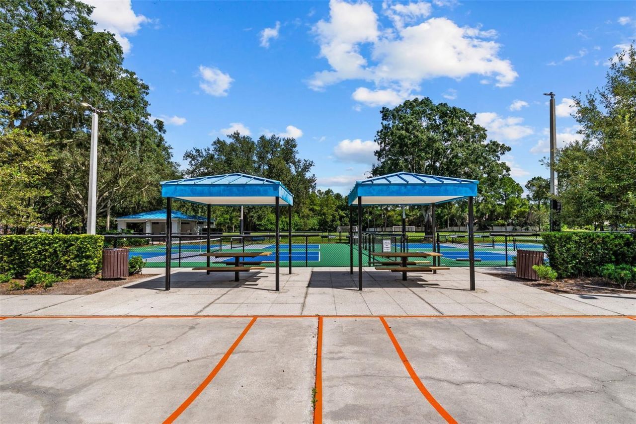 3626 Justin Drive, Palm Harbor, FL 34685 Photo