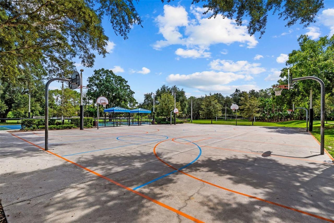 3626 Justin Drive, Palm Harbor, FL 34685 Photo