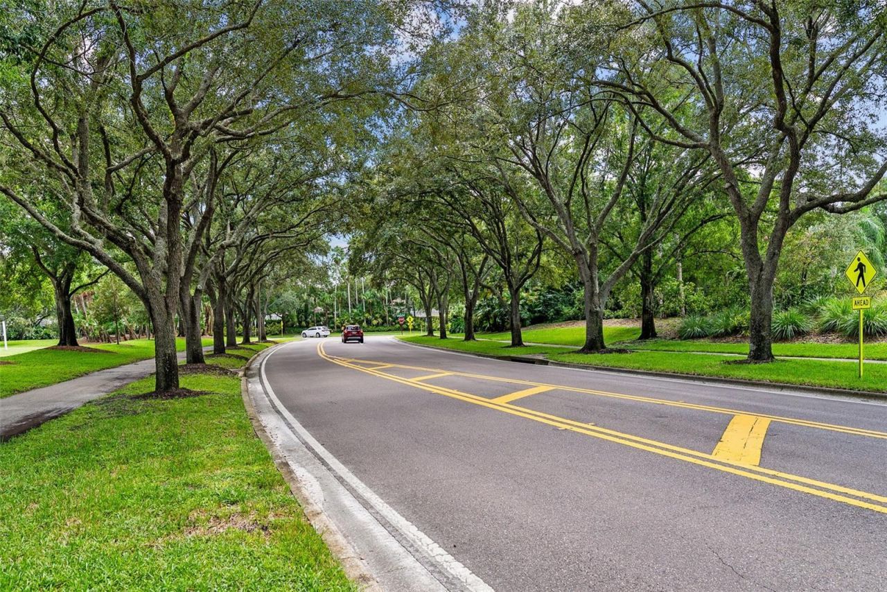 3626 Justin Drive, Palm Harbor, FL 34685 Photo