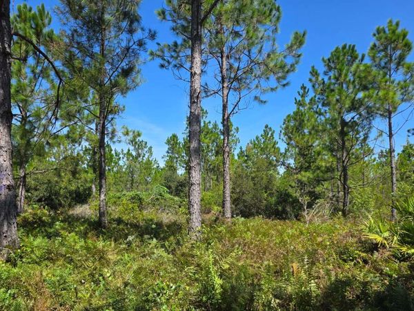SW BELL & GUM RD, Lee, FL 32059