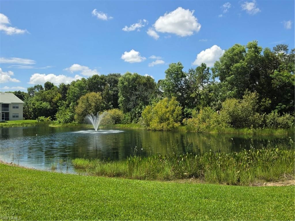 4910 Cougar Ct N, Unit 101, Naples, FL 34109 Photo
