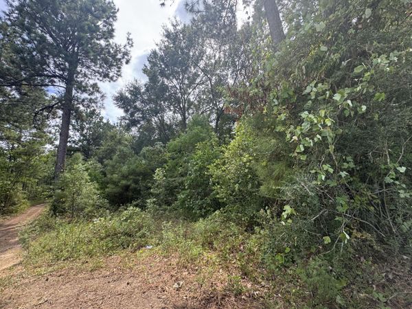 Lot 8-12 E Central Ave., Petal, MS 39465