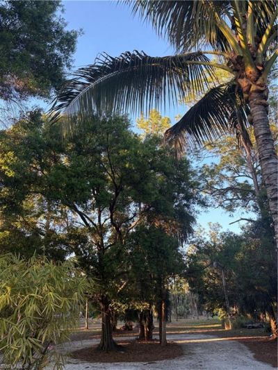 3661 7th Ave Sw, Naples, FL 34117 Photo
