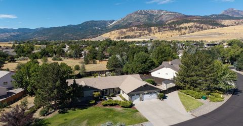 315 Old Washoe Circle, Washoe Valley, NV 89704 Photo