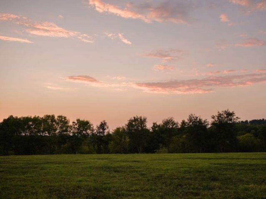 Property Image 72