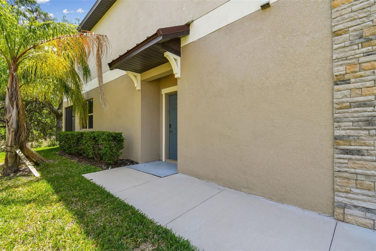 30814 Veridian Way, Wesley Chapel, FL 33545 Photo