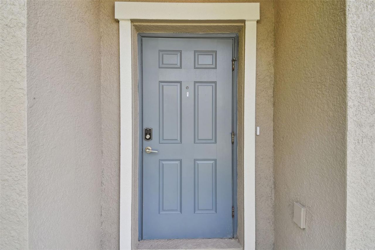 30814 Veridian Way, Wesley Chapel, FL 33545 Photo