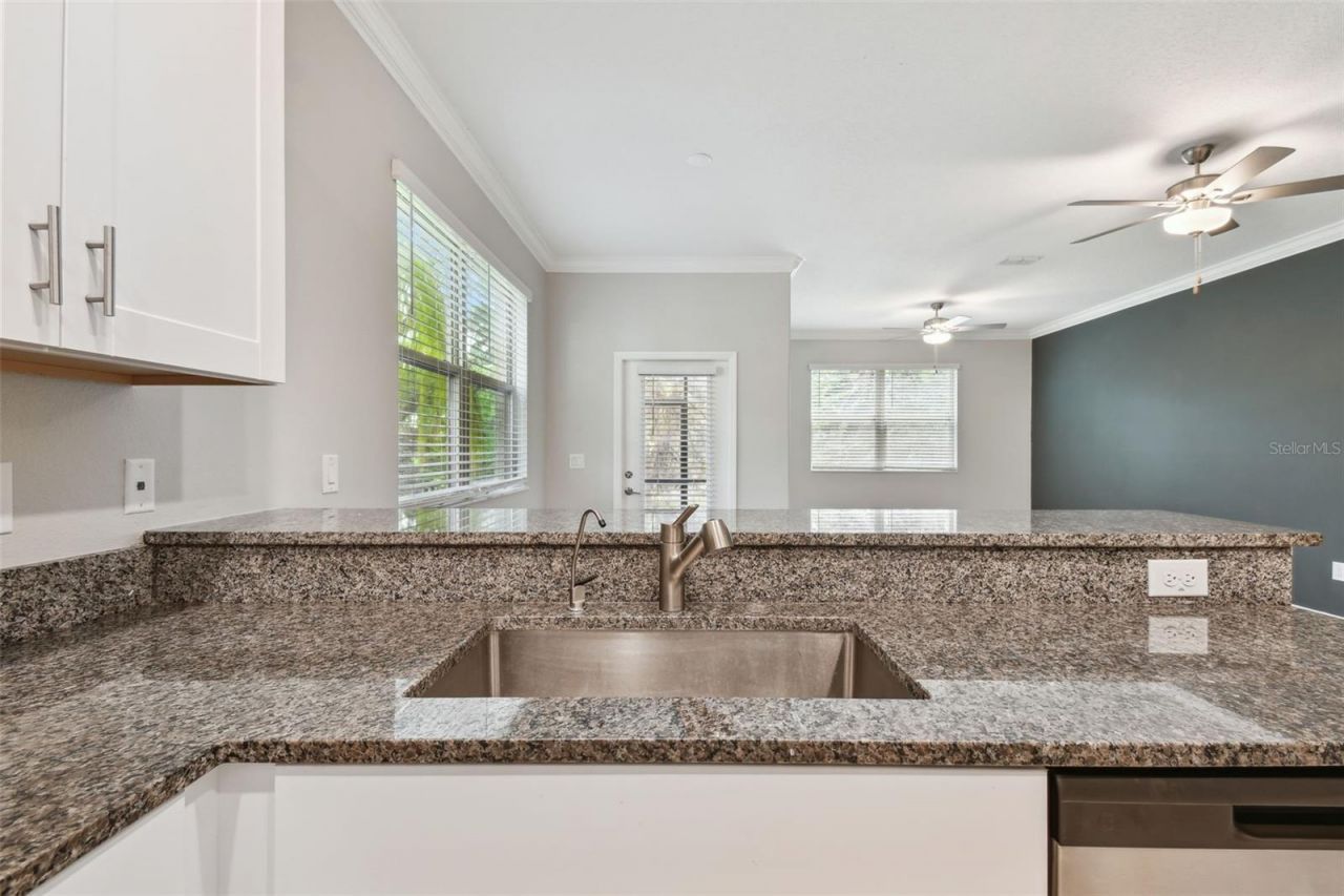 30814 Veridian Way, Wesley Chapel, FL 33545 Photo