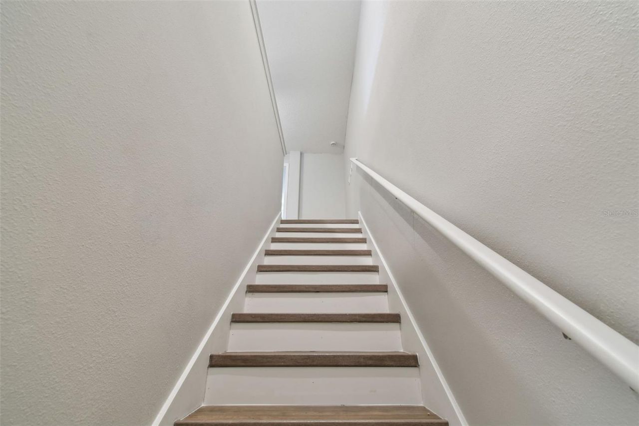 30814 Veridian Way, Wesley Chapel, FL 33545 Photo