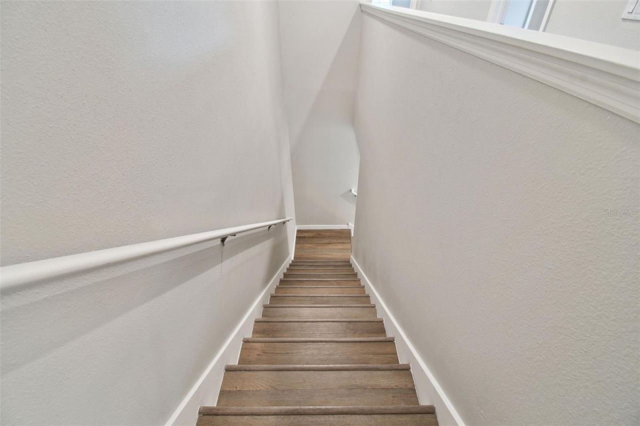 30814 Veridian Way, Wesley Chapel, FL 33545 Photo