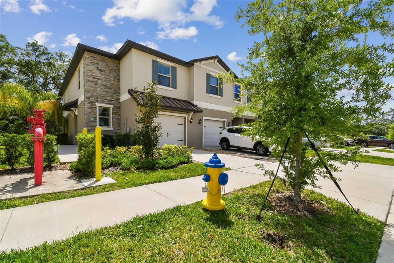 30814 Veridian Way, Wesley Chapel, FL 33545 Photo
