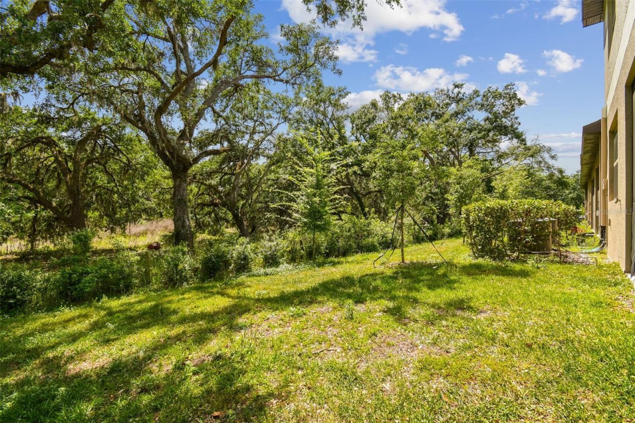 30814 Veridian Way, Wesley Chapel, FL 33545 Photo